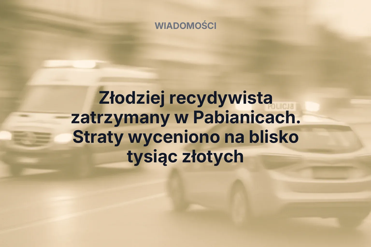 Artykuł: Złodziej recydywista zatrzymany w Pabianicach. Straty wyceniono na blisko tysiąc złotych