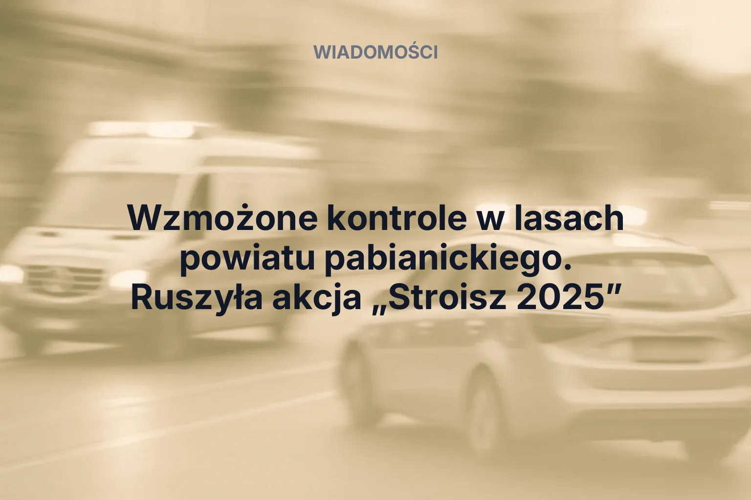 Artykuł: Wzmożone kontrole w lasach powiatu pabianickiego. Ruszyła akcja „Stroisz 2025”