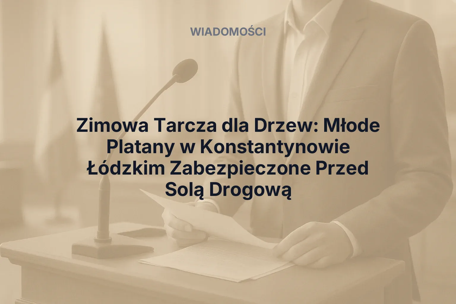 Zimowa Tarcza dla Drzew: Młode Platany w Konstantynowie Łódzkim Zabezpieczone Przed Solą Drogową