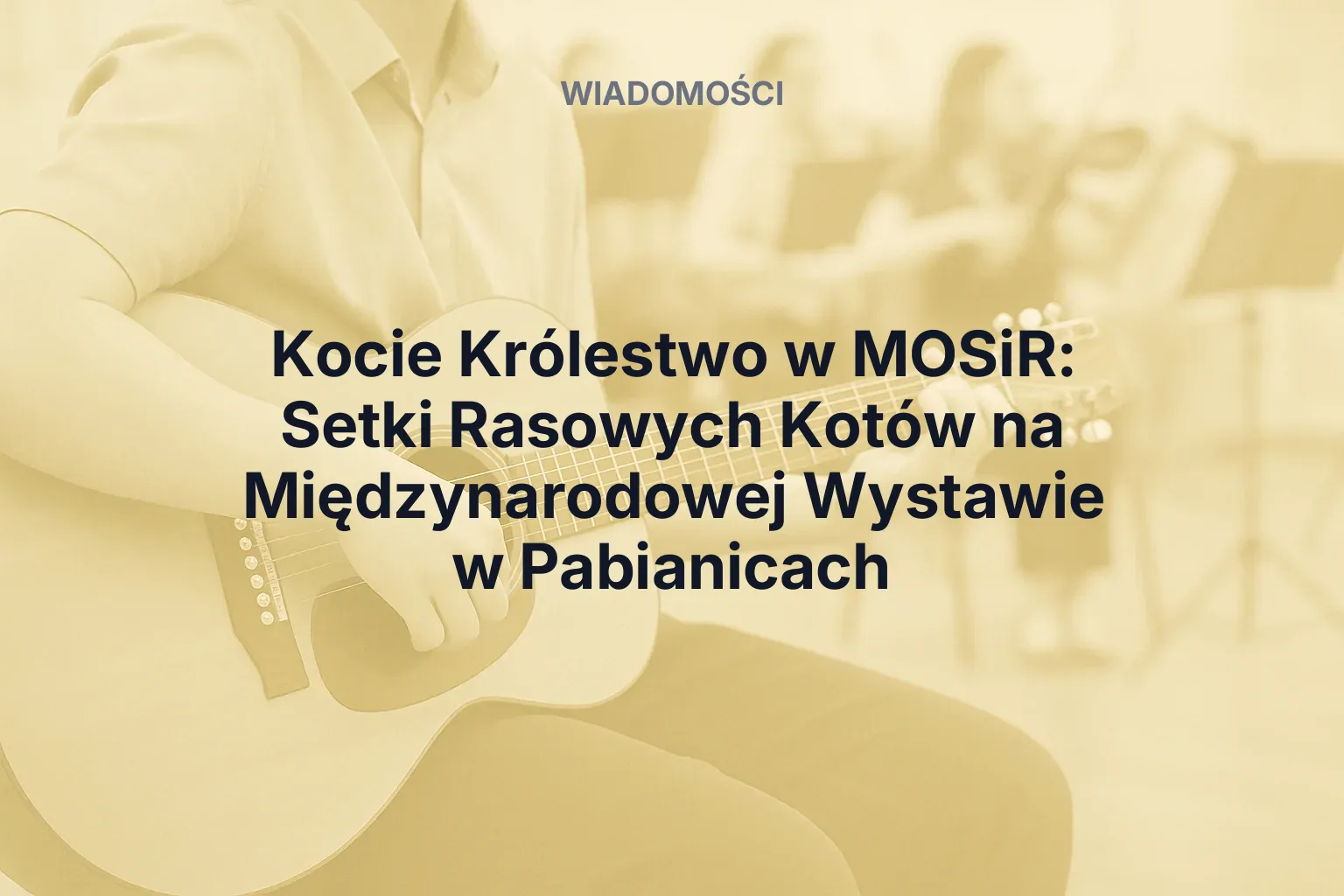 Artykuł: Kocie Królestwo w MOSiR: Setki Rasowych Kotów na Międzynarodowej Wystawie w Pabianicach
