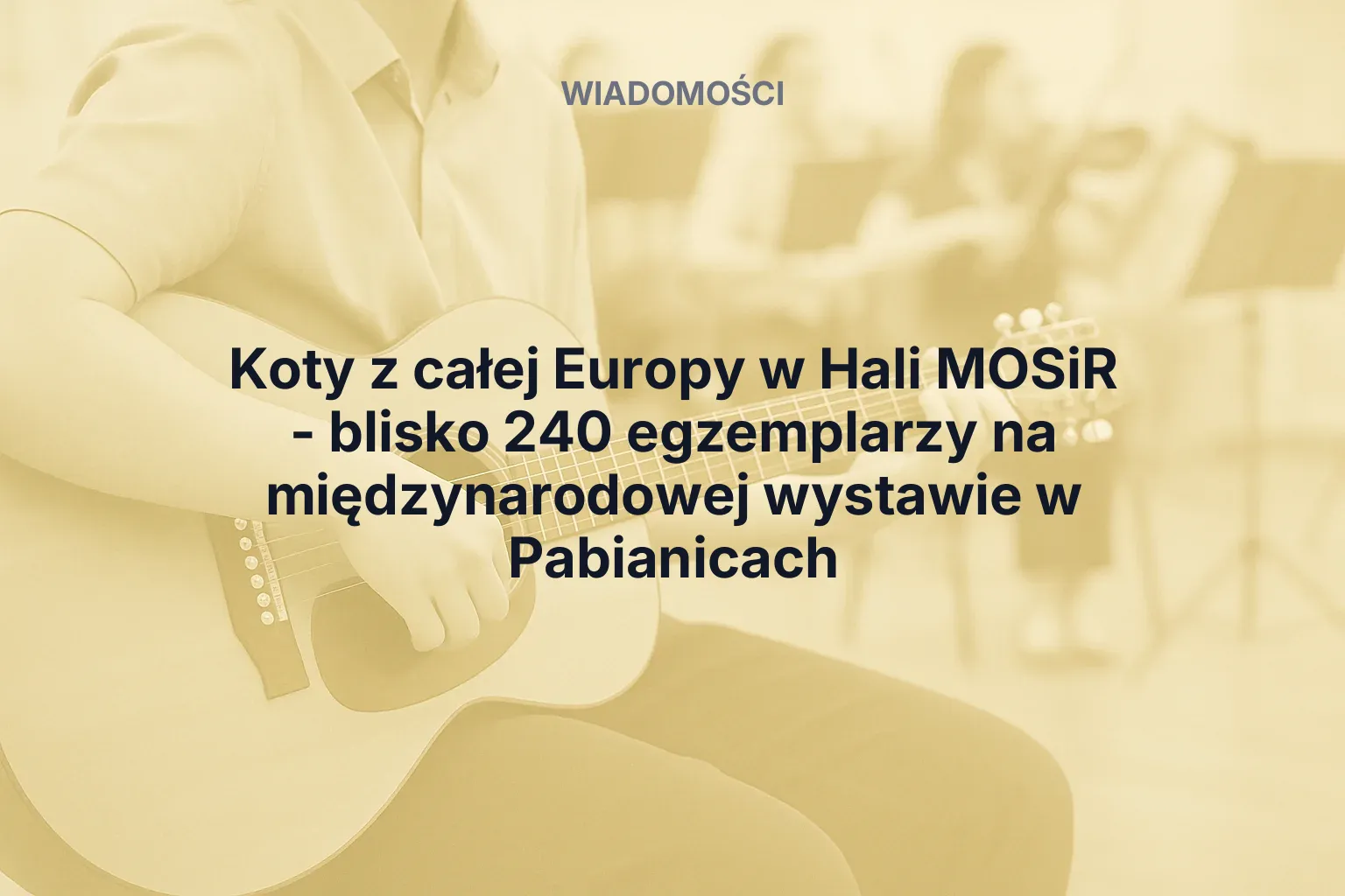 Artykuł: Koty z całej Europy w Hali MOSiR - blisko 240 egzemplarzy na międzynarodowej wystawie w Pabianicach